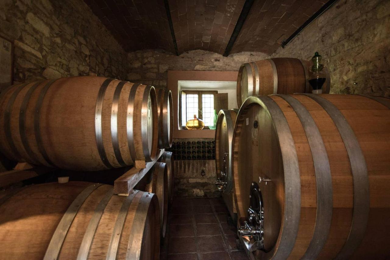 Agriturismo Buondonno Castellina in Chianti Ngoại thất bức ảnh
